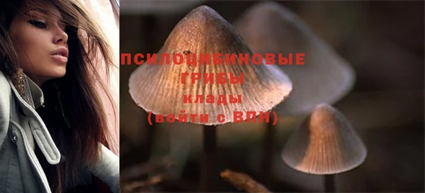 2c-b Беломорск