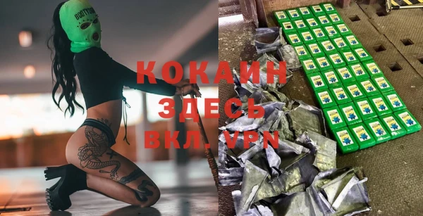 стафф Богданович