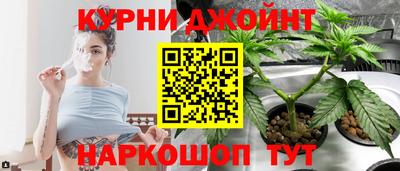 прущие крисы Можга